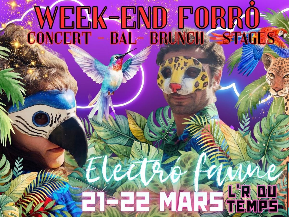 Week-end forró avec&nbsp;Electrofaune